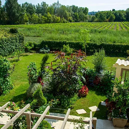 Abacard Adult Only Holiday home Roquemaure (Gard)