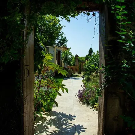 Abacard Adult Only *